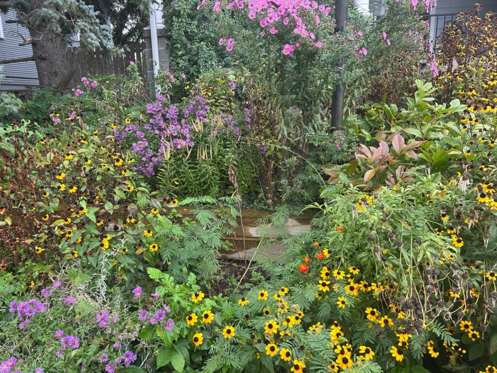 What happens when planting native becomes a massive community movement? (Part 2)