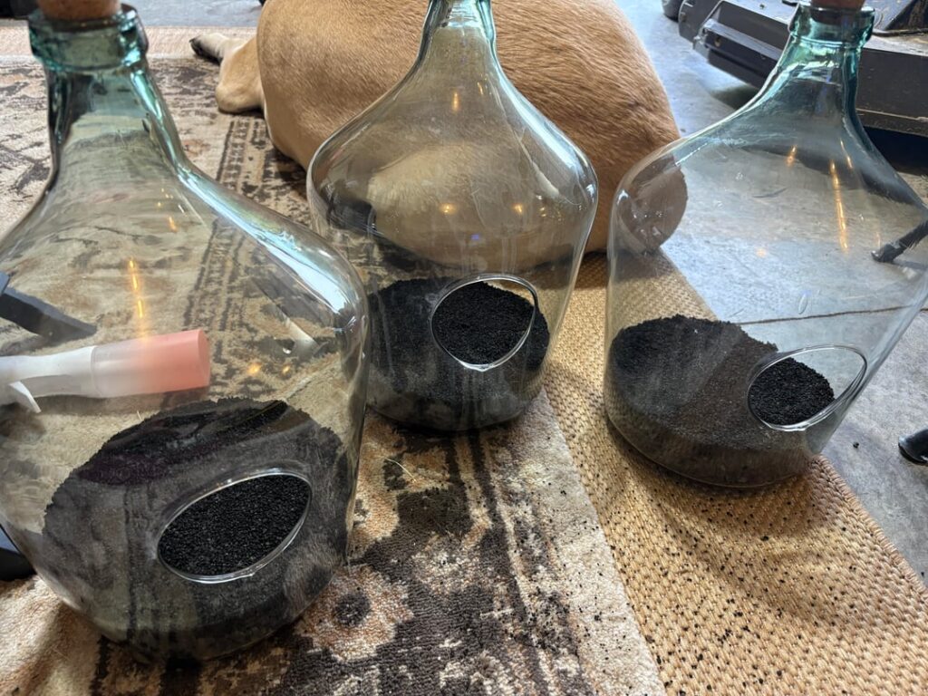 Building terrariums for my sisters for Christmas