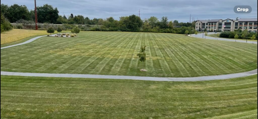 Mowed with a Wright Stander X, a few of my properties over the week #wrightLife