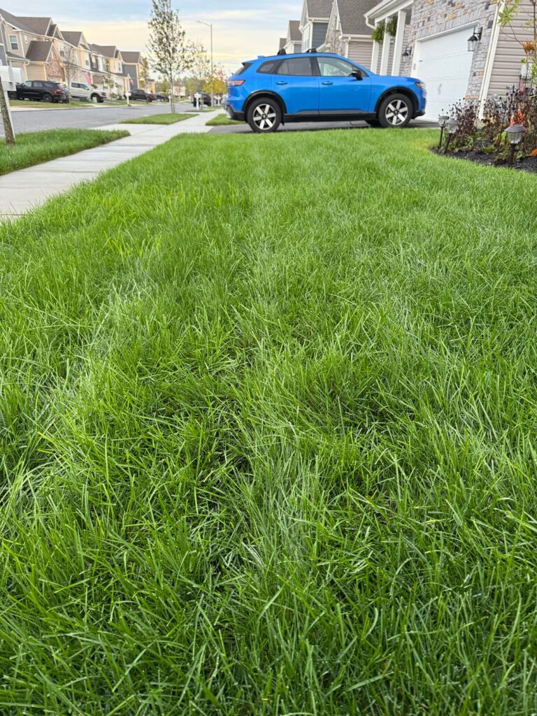 Coming in thick this fall