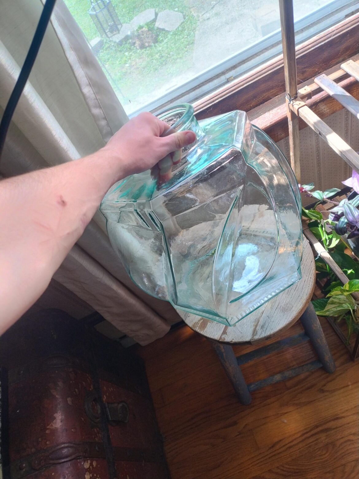Arm for scale. What plants do y'all suggest I put it in here?