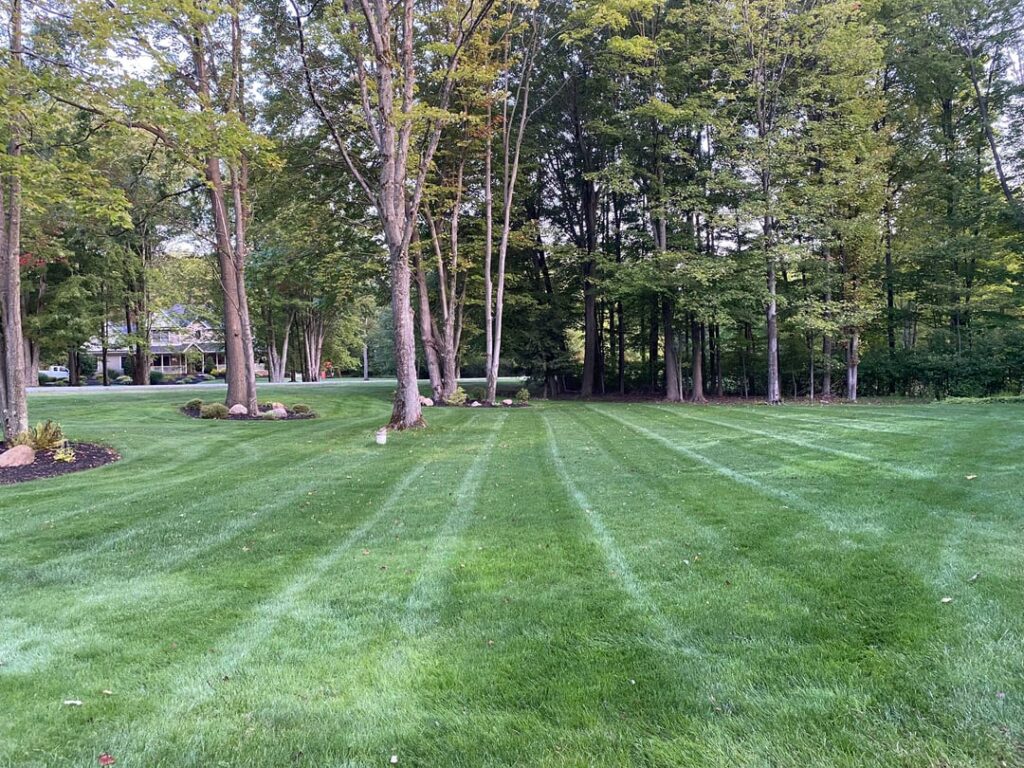 Overseed before/after Overseed before/after
