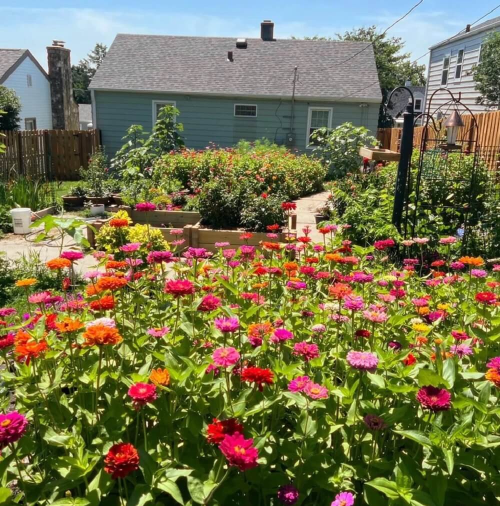 "This is impressive and must make the pollinators so happy."