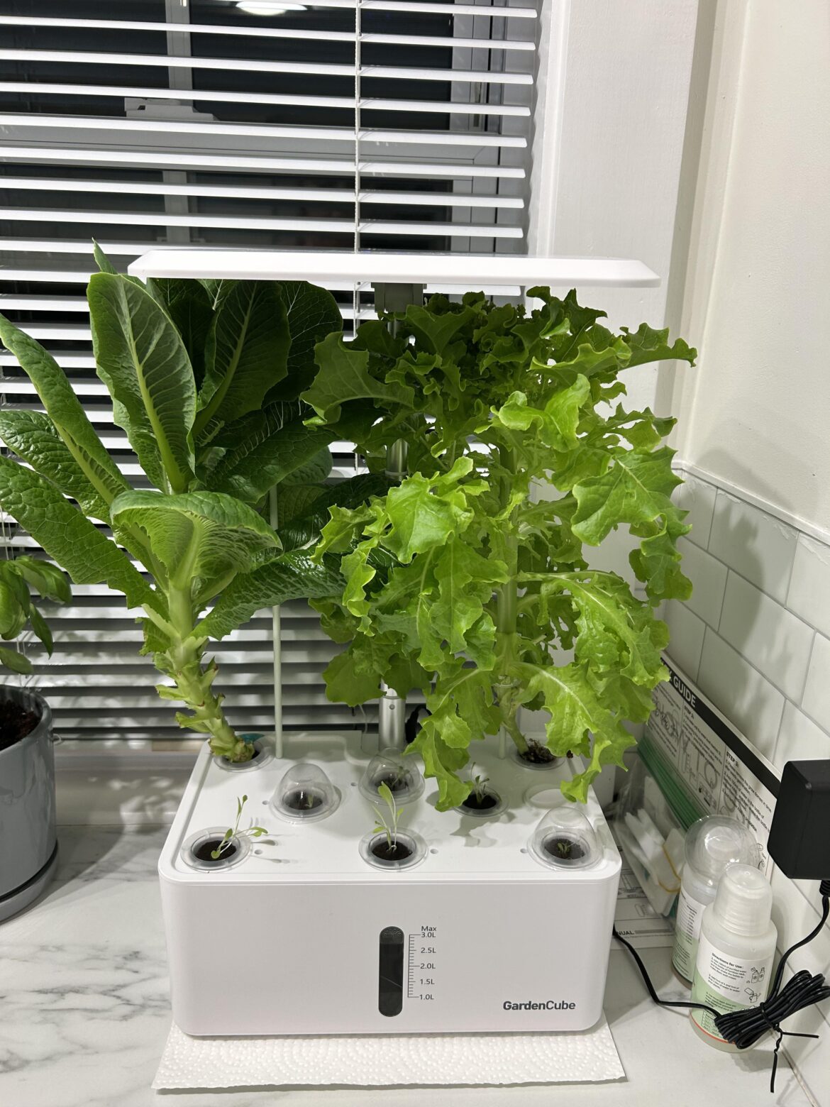 Newbie help??