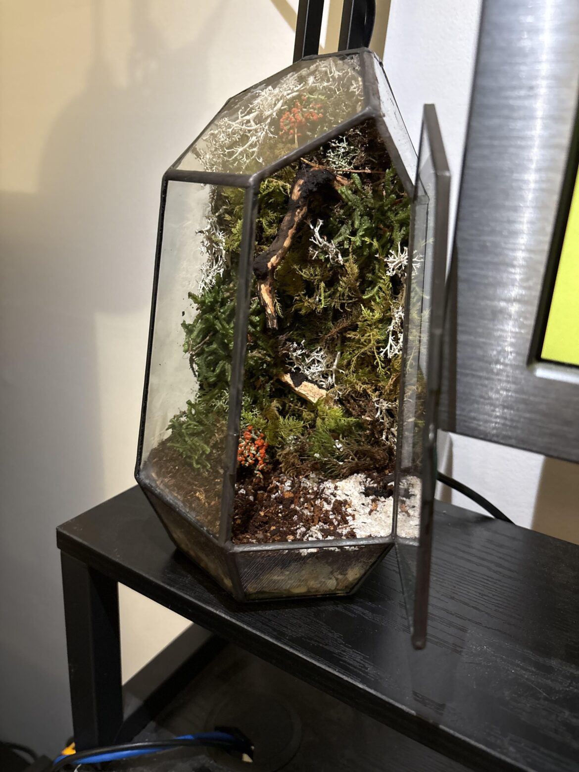 Made my first terrarium for my desk