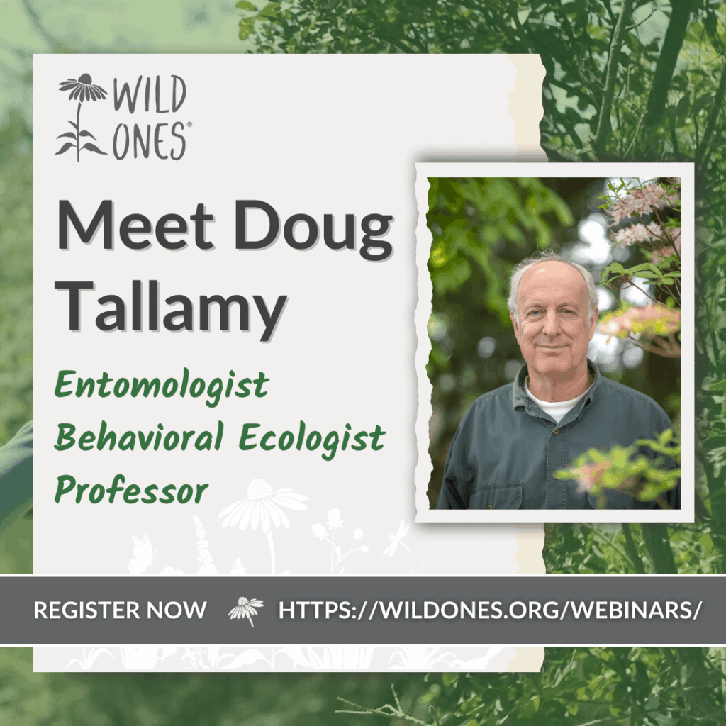 Doug Tallamy – Next Steps for Nature Webinar Doug Tallamy - Next Steps for Nature Webinar