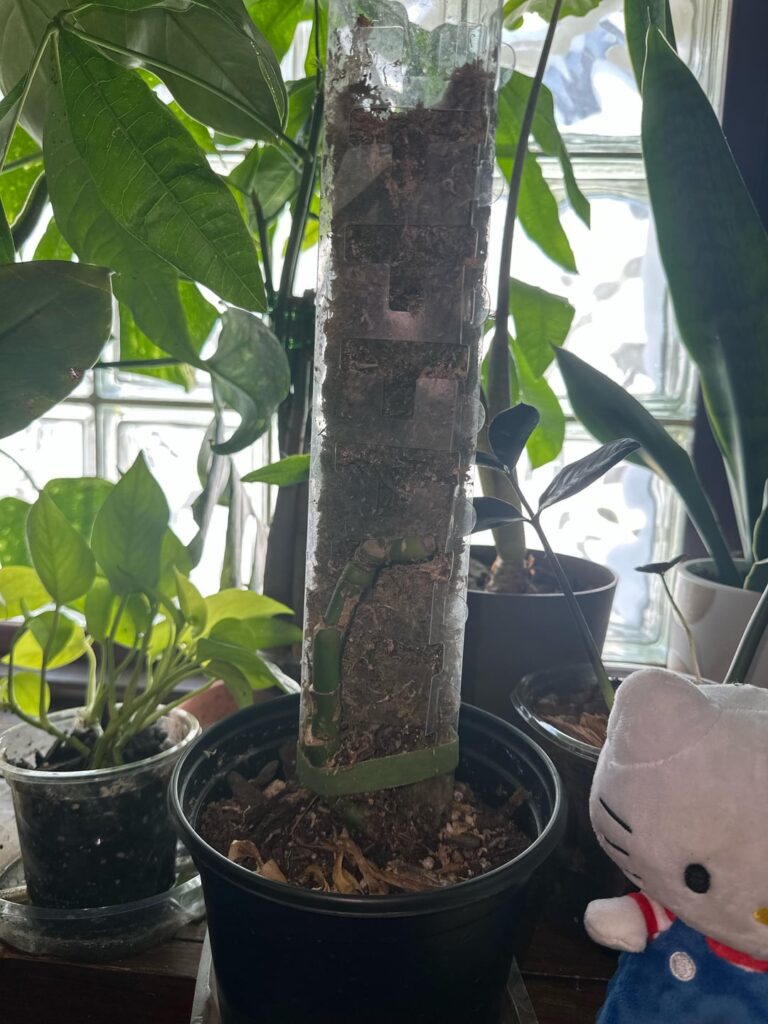 wet stick prop turning black and yellow?