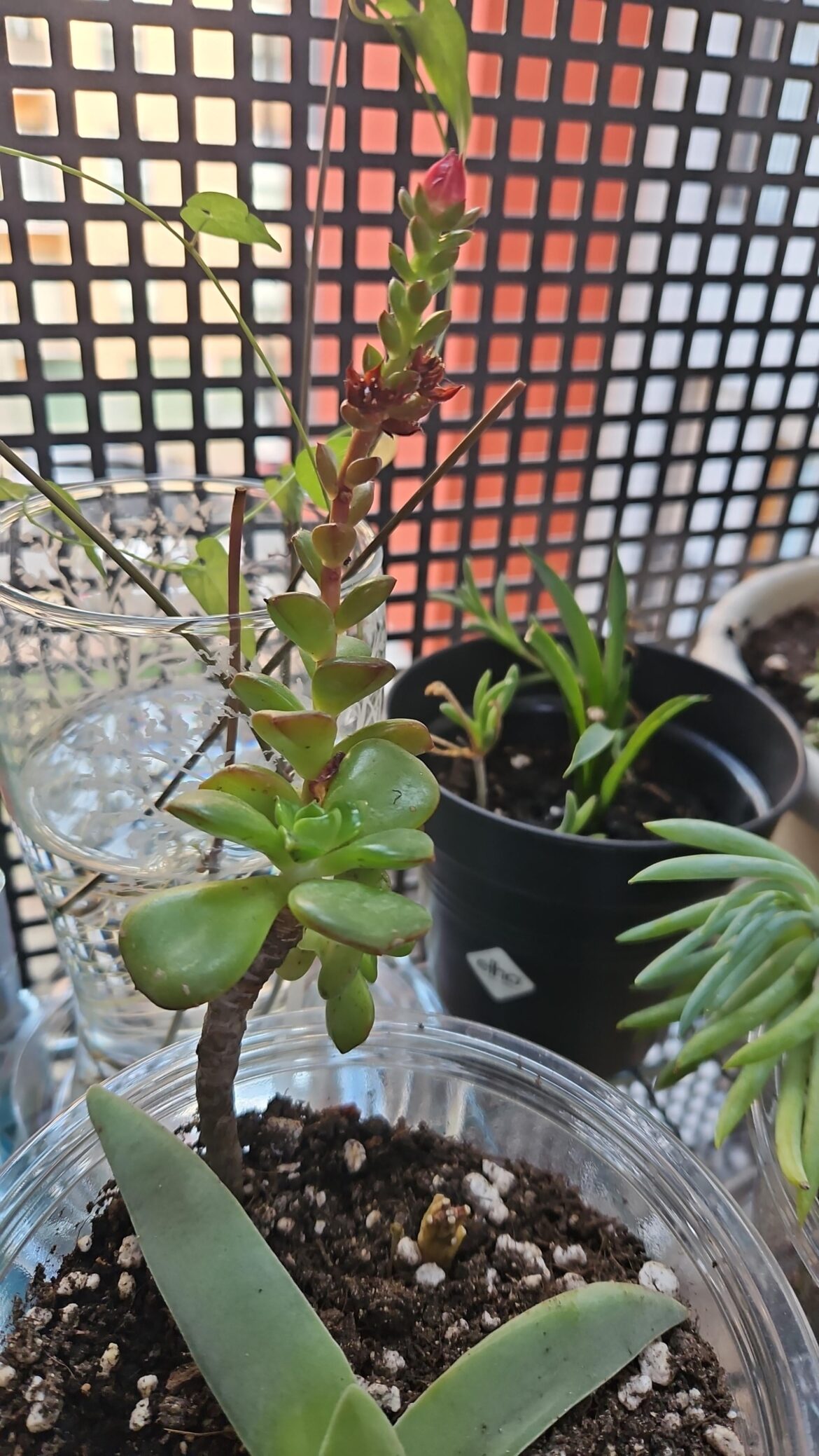 What's this?