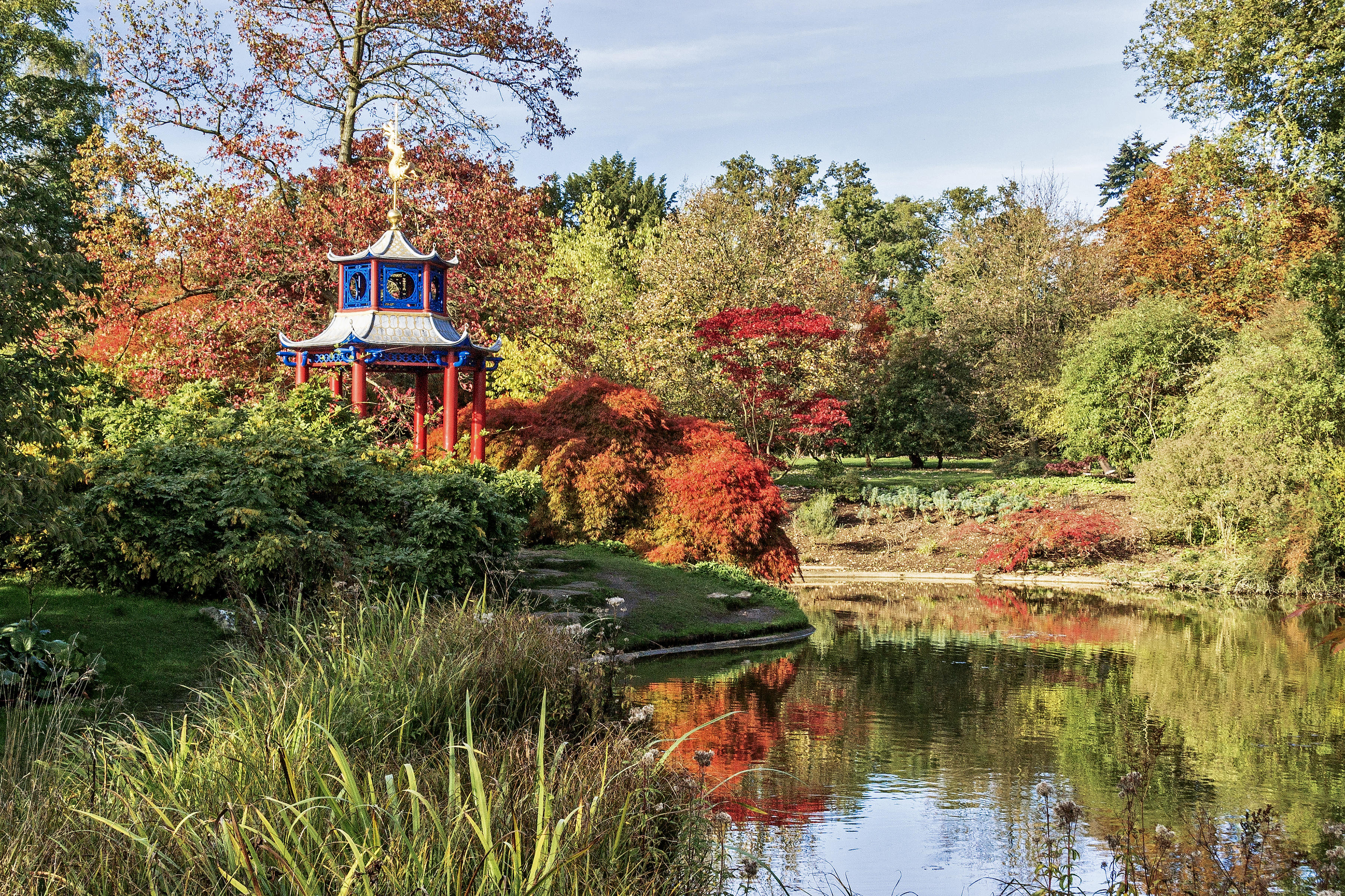 Japanese Pagoda in Cliveden Water Garden.