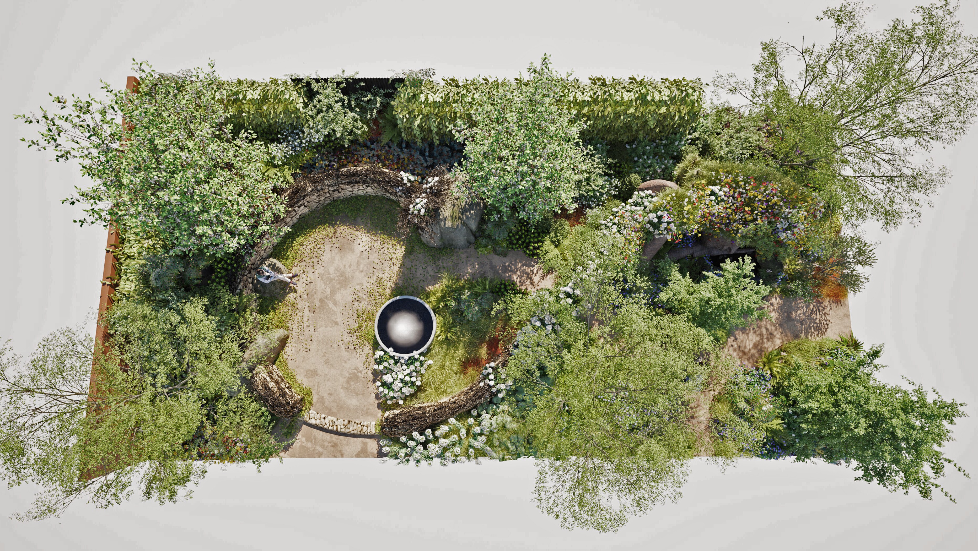 Illustration of The Killik & Co. ‘A Seed in Time’ Garden by Baz Grainger and The Boodles Garden by Catherine MacDonald at the RHS Chelsea Flower Show 2026.
