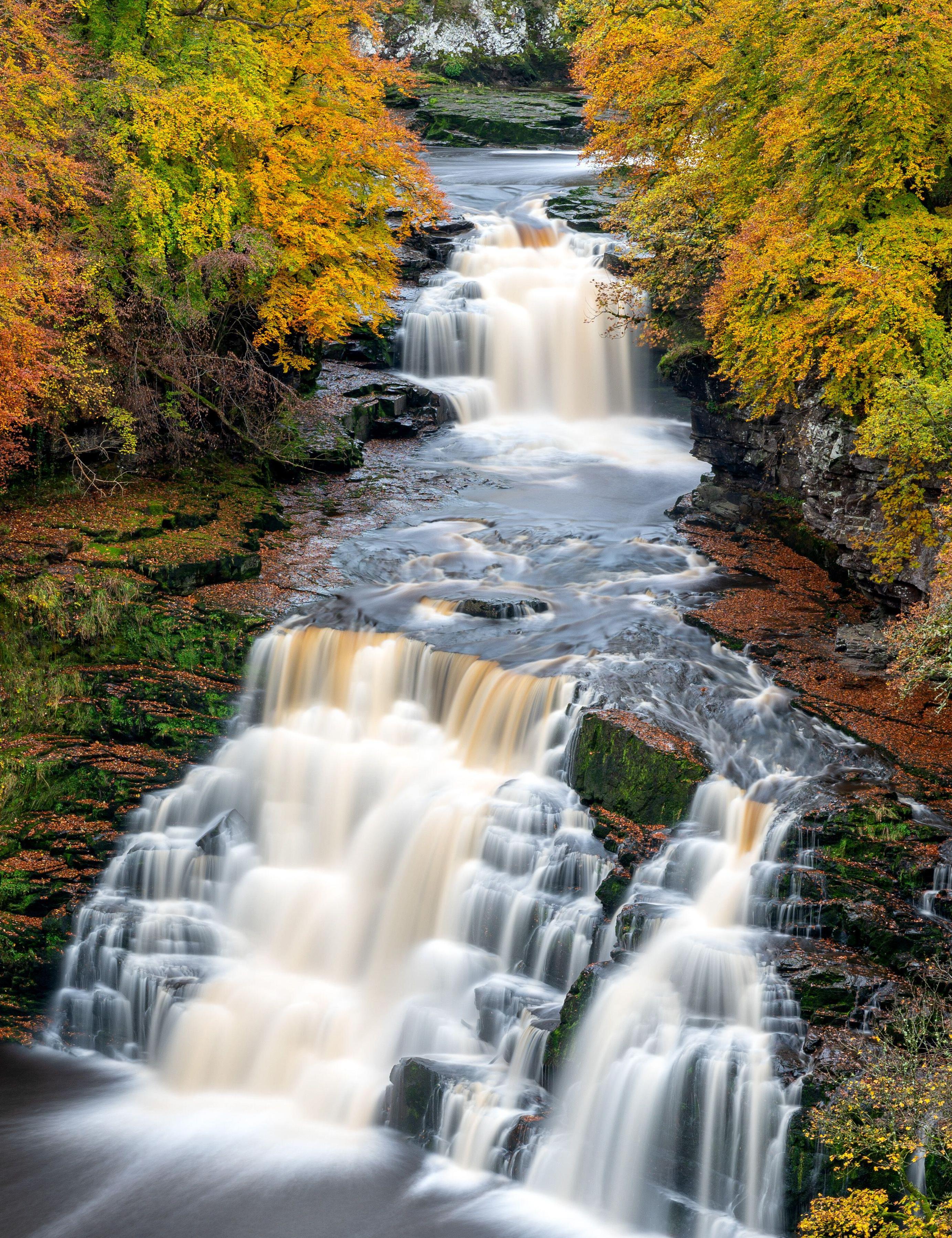 Corra Linn waterfall at Falls of Clyde, New Lanark, Scotland, UK, surrounded by autumn trees.
