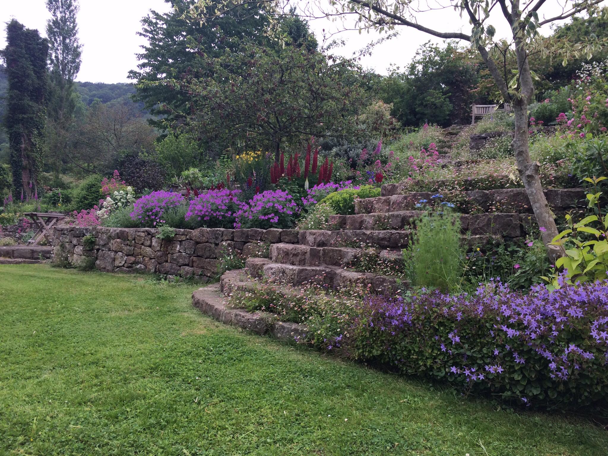 A terraced garden with stone steps and walls, lush green lawn, and various flowering plants in shades of purple, pink, and red, with trees and a hillside in the background.