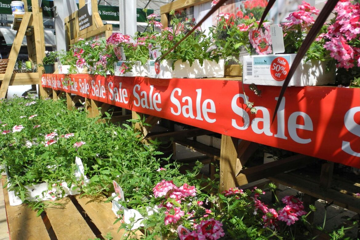 Money-saving tips to boost your borders