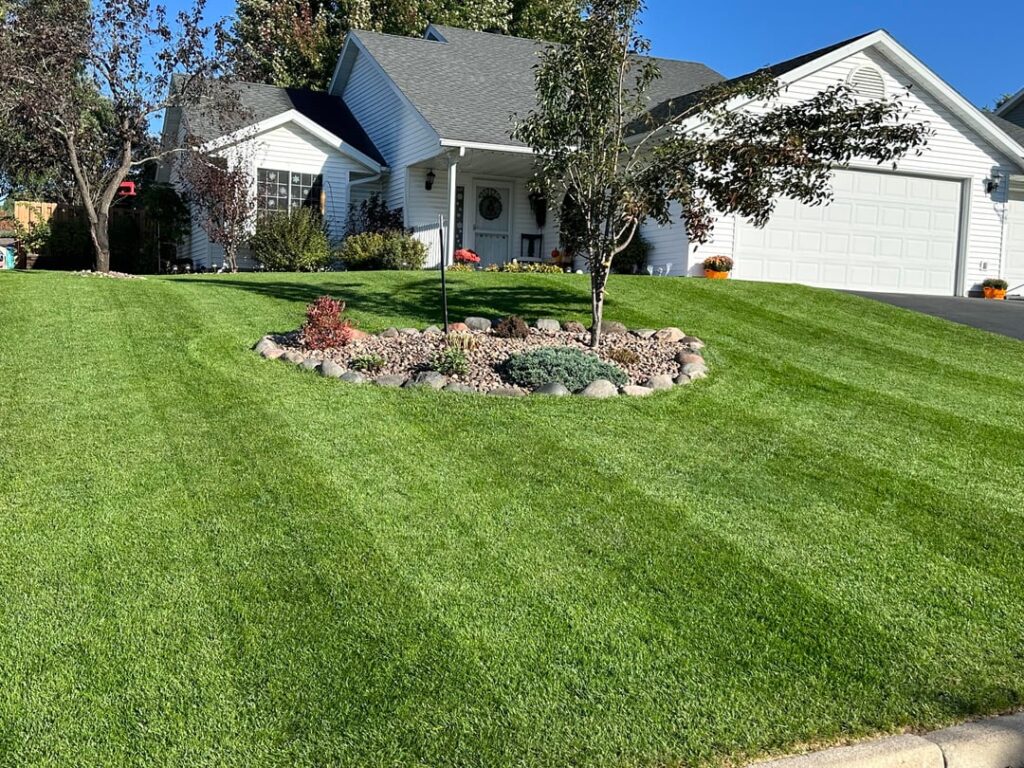 3 weeks post dethatch and overseed.  Thanks all for the motivation to whip my lawn into shape!  Zone 4b
