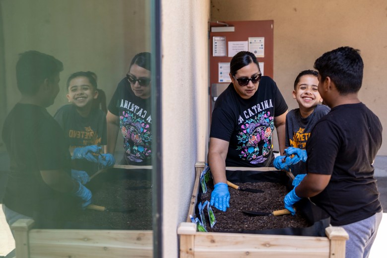 Three people gardening, with a reflection in a window.