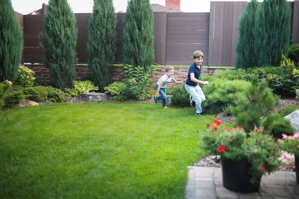 Funny brothers playing and running on the lawn in the backyard, a beautiful lawn and genuine sibling games.