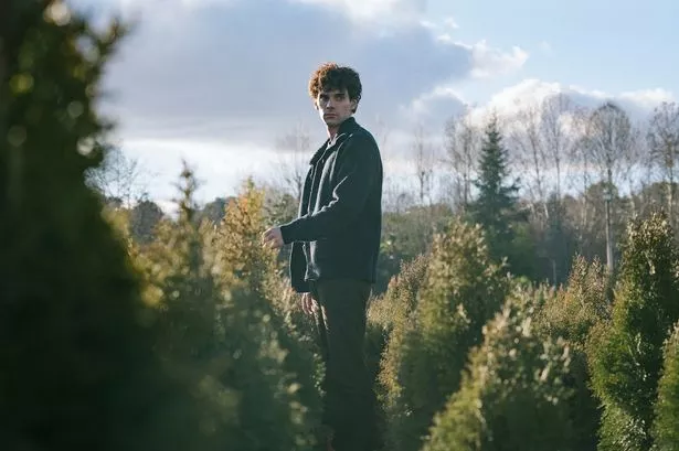 The Gardener revolves around Elmer, a gardener who, after a head injury, can't feel emotions, making him a perfect hitman for his mother. When Elmer falls in love with his next victim, Violeta, their carefully constructed lives and the charade of being ordinary local gardeners begin to unravel. 