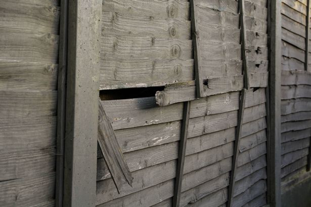 Broken wooden fence
