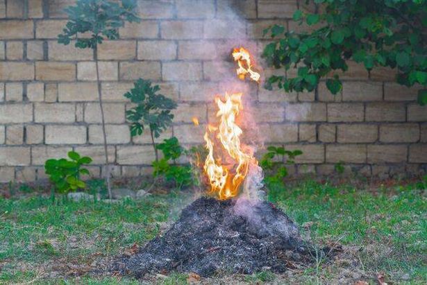 Burning dry grass in the garden