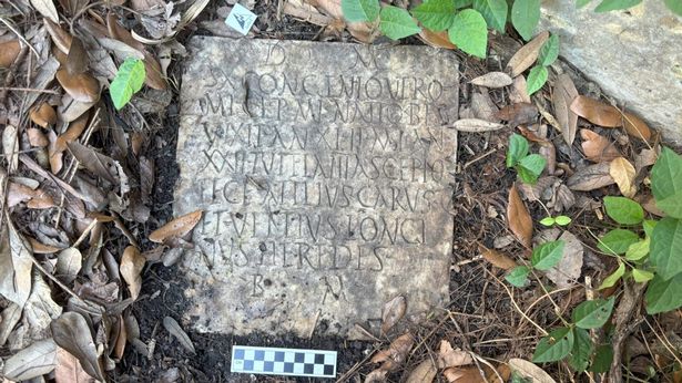 TAKEN WITHOUT PERMISSION

CAPTION: Couple floored by discovery in garden that belongs to country 5,000 miles away




RIP FROM SITE: https://prcno.org/how-did-a-2nd-century-roman-headstone-wind-up-in-a-new-orleans-backyard/