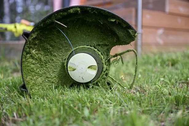 Electric trimmer in the grass after mowing the lawn