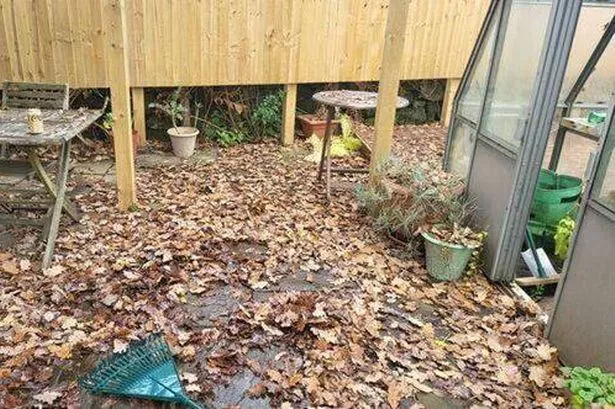 Gardeners are being told not to rake up leaves in their garden