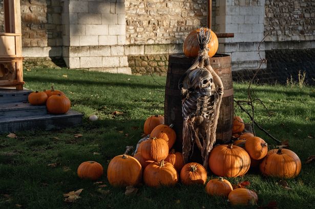 Pile of Pumpkins with skeleton on the barrel. Halloween. Autumn spooky outdoor decoration
