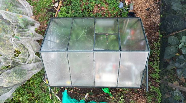 Overhead aerial view of a greenhouse in a garden
