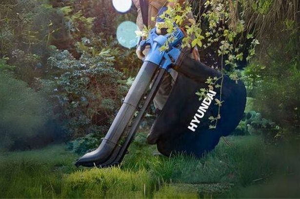 HyundaiLeafBlower