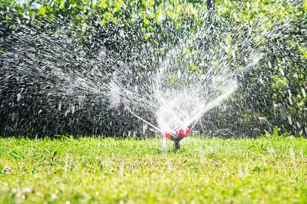 Lawn sprinkler