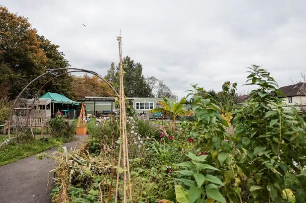 Goats, boats, and a secret garden - what more could you ask for?