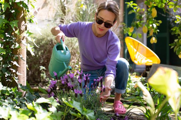 Person watering their plants