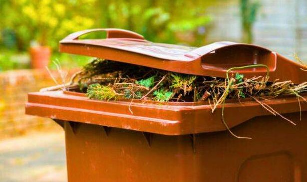 Picture of rubbish in the garden 