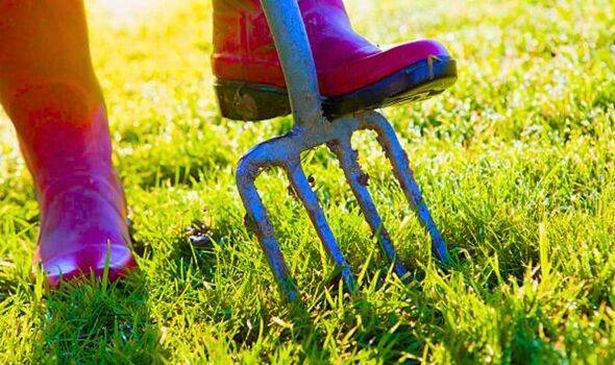 Picture of someone aerating a lawn 