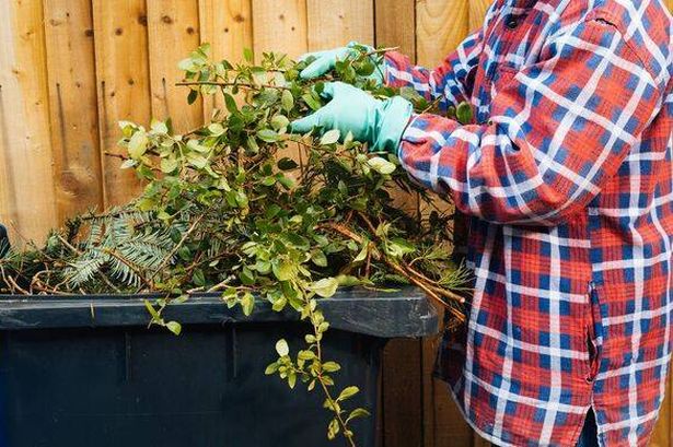 Putting garden waste into bins