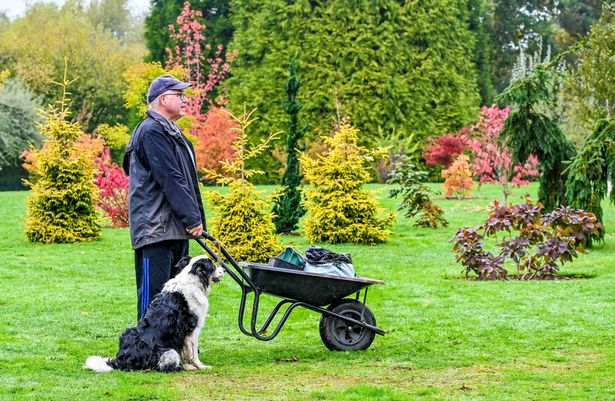 John Massey, 76, has spent nearly three decades creating his dream greenspace which features over 20,000 plants, trees and shrubs over a ten acre site