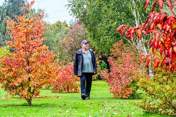 John Massey, 76, has spent nearly three decades creating his dream greenspace which features over 20,000 plants, trees and shrubs over a ten acre site