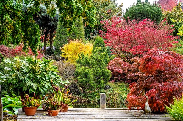 John Massey, 76, has spent nearly three decades creating his dream greenspace which features over 20,000 plants, trees and shrubs over a ten acre site