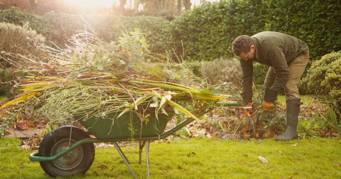 3 gardening jobs to do now to ensure you have ‘best’ garden next year Daily Mirror