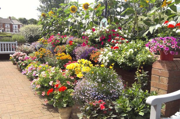 The winning communal garden at Beverley Court in Gateshead
