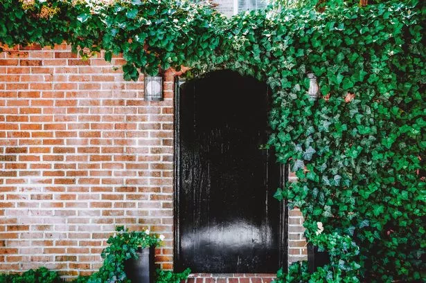 A woman has been criticised for removing plants from her home (stock image)