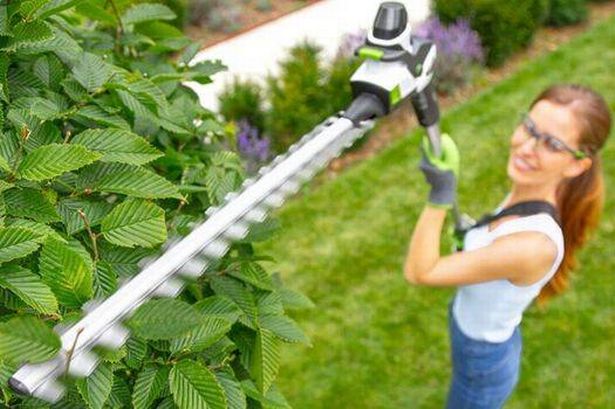 Woman trimming the top of a hedge