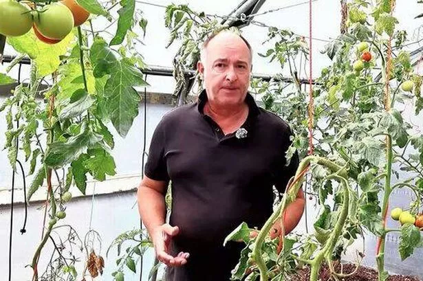 YouTube/NoDigNorfolkGardener