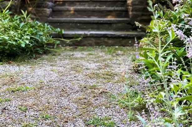 A gravel driveway
