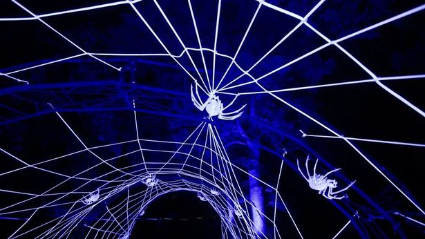 spider display at kew gardens
