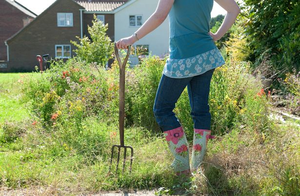 thirty year old woman holding gardening fork