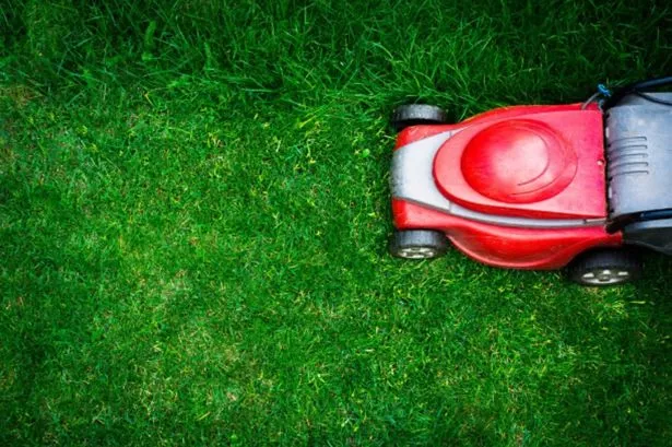 UK households mowing lawn for final time this year risk £5,000 fine this weekend