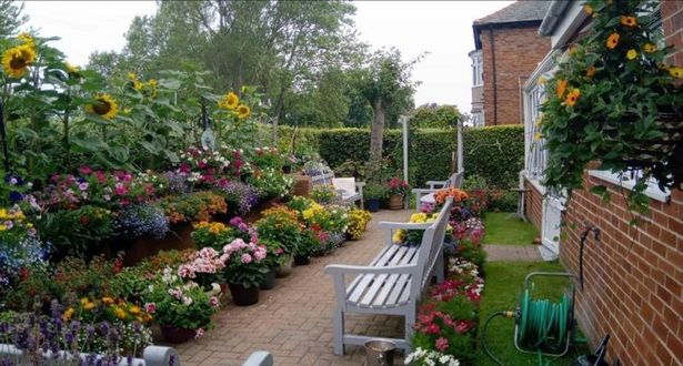 The winning communal garden at Beverley Court in Gateshead