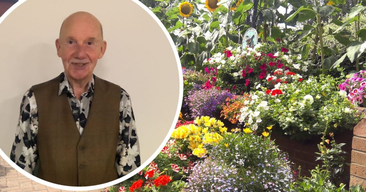 Gateshead gardener wins national award for transforming ‘joyous’ community space Chronicle Live