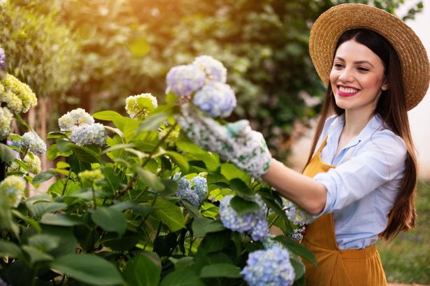 Woman gardening